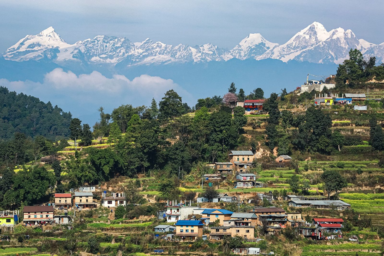 Houses on a green hillside below the Himalaya, Nepal
